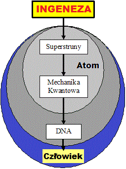 ATOM,
                    SUPERSTRUNY, DNA, CZLOWIEK