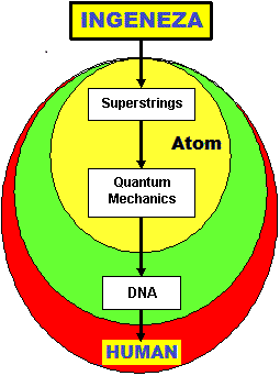 Ingeneza, super
                    strings, QCD, DNA, Human